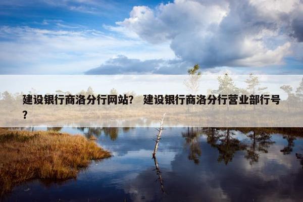 建设银行商洛分行网站？ 建设银行商洛分行营业部行号？