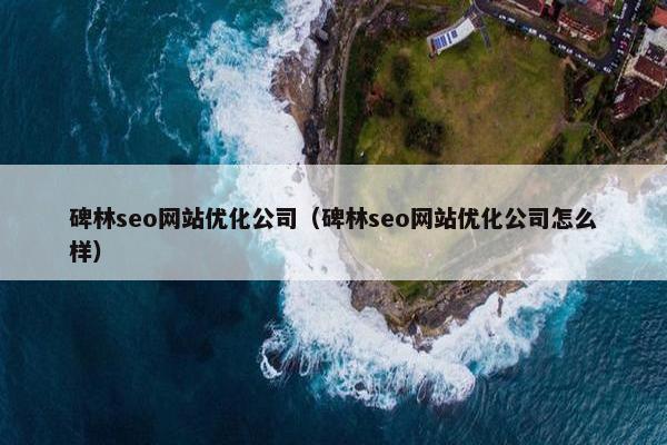 碑林seo网站优化公司（碑林seo网站优化公司怎么样）