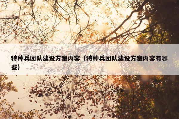 特种兵团队建设方案内容（特种兵团队建设方案内容有哪些）