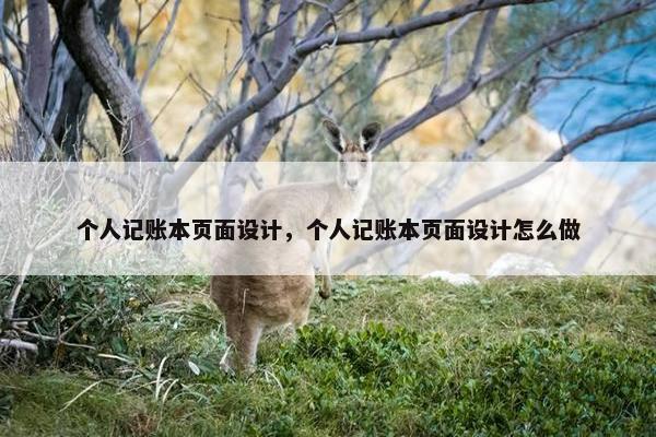 个人记账本页面设计，个人记账本页面设计怎么做