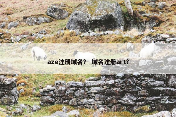 aze注册域名？ 域名注册art？
