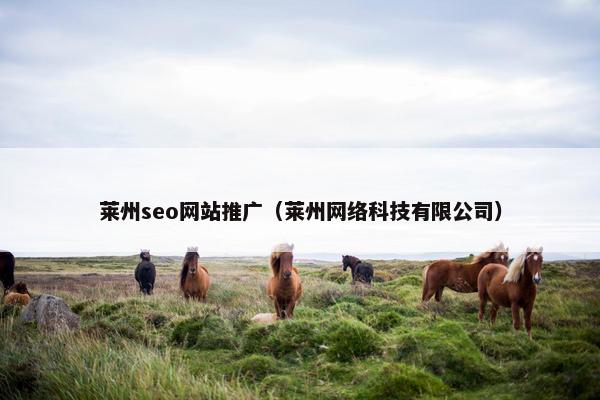 莱州seo网站推广（莱州网络科技有限公司）