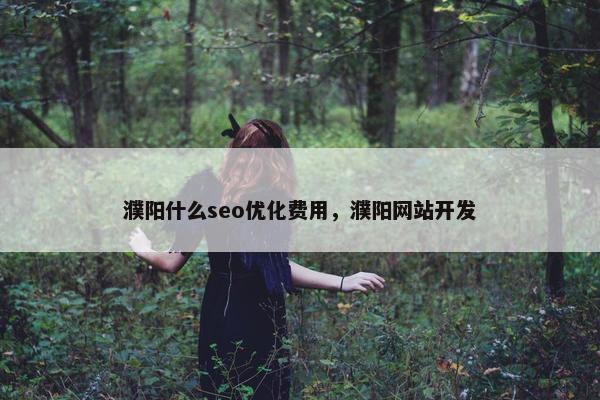 濮阳什么seo优化费用，濮阳网站开发