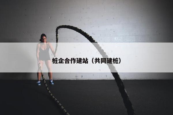 桩企合作建站（共同建桩）