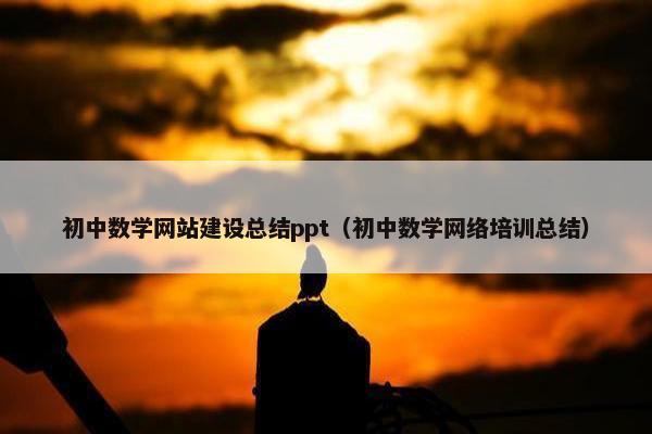 初中数学网站建设总结ppt（初中数学网络培训总结）