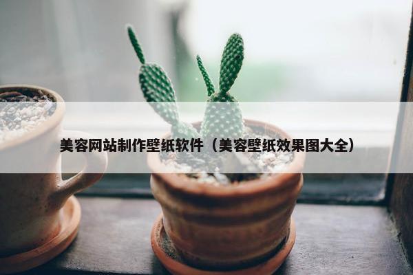 美容网站制作壁纸软件（美容壁纸效果图大全）
