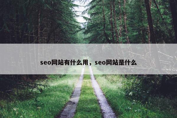 seo网站有什么用，seo网站是什么
