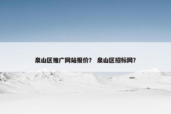 泉山区推广网站报价？ 泉山区招标网？