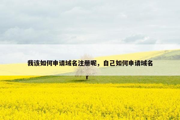 我该如何申请域名注册呢，自己如何申请域名