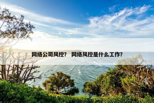 网络公司风控？ 网络风控是什么工作？