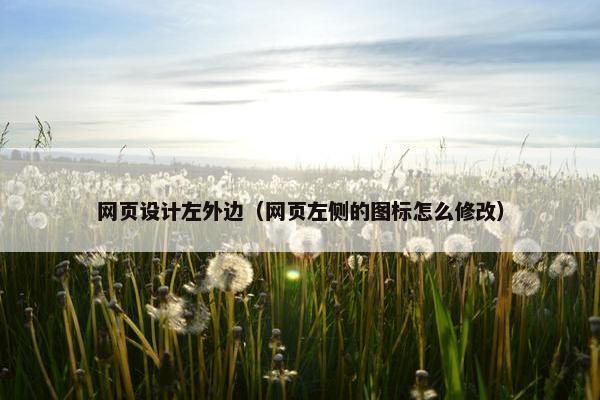 网页设计左外边（网页左侧的图标怎么修改）