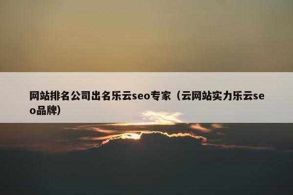 网站排名公司出名乐云seo专家（云网站实力乐云seo品牌）