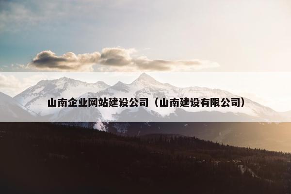 山南企业网站建设公司（山南建设有限公司）