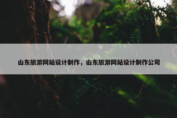 山东旅游网站设计制作，山东旅游网站设计制作公司