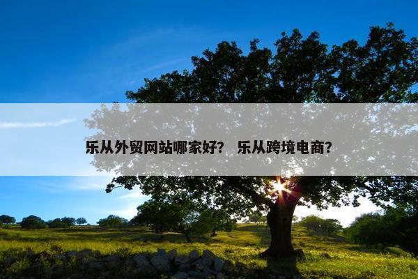 乐从外贸网站哪家好？ 乐从跨境电商？