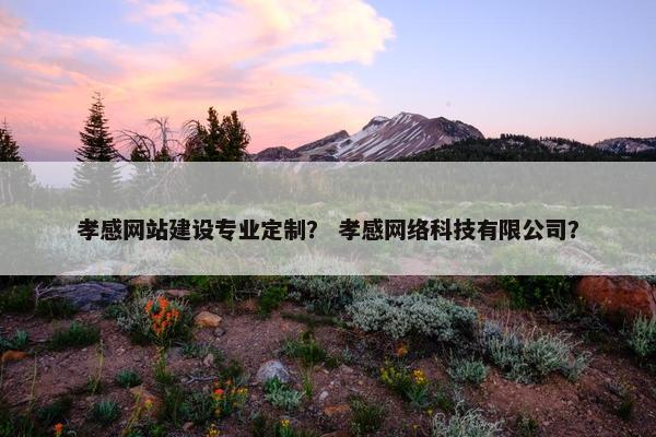 孝感网站建设专业定制？ 孝感网络科技有限公司？