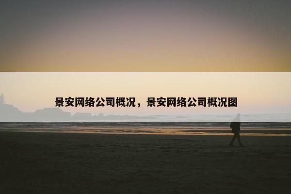 景安网络公司概况，景安网络公司概况图