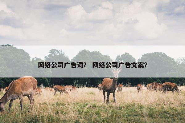 网络公司广告词？ 网络公司广告文案？