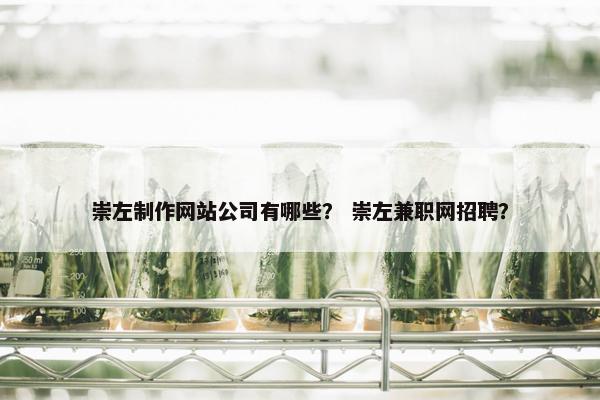 崇左制作网站公司有哪些？ 崇左兼职网招聘？