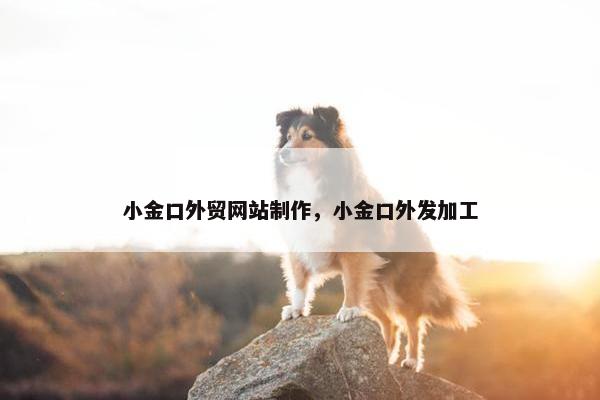 小金口外贸网站制作，小金口外发加工