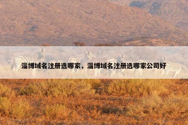 淄博域名注册选哪家，淄博域名注册选哪家公司好
