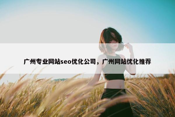 广州专业网站seo优化公司，广州网站优化推荐
