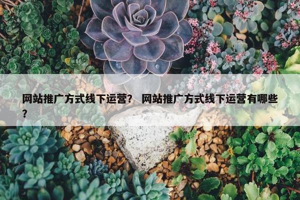 网站推广方式线下运营？ 网站推广方式线下运营有哪些？