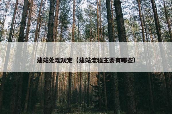 建站处理规定（建站流程主要有哪些）