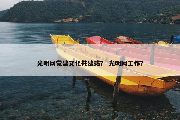 光明网党建文化共建站？ 光明网工作？