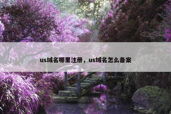 us域名哪里注册，us域名怎么备案