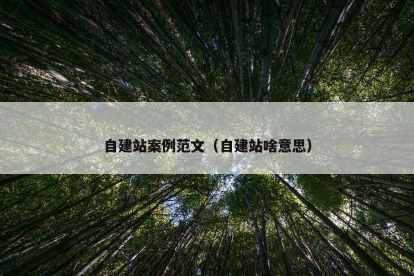 自建站案例范文（自建站啥意思）