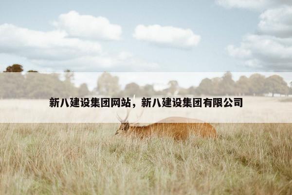 新八建设集团网站，新八建设集团有限公司