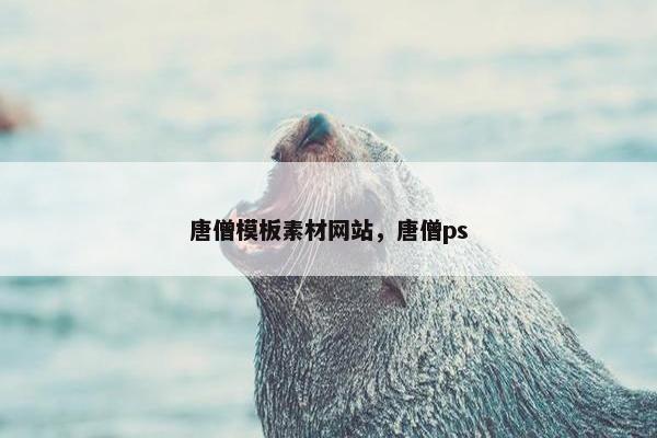 唐僧模板素材网站，唐僧ps