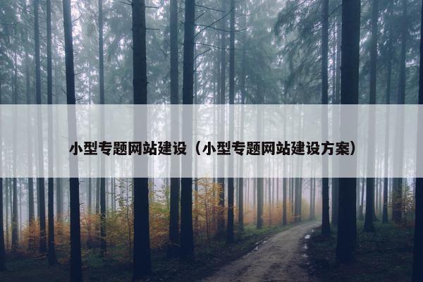 小型专题网站建设（小型专题网站建设方案）