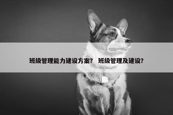 班级管理能力建设方案？ 班级管理及建设？