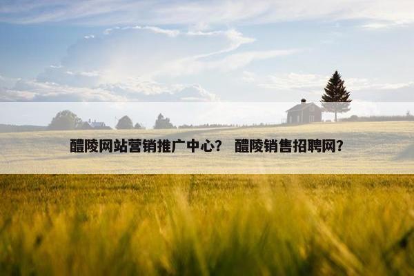 醴陵网站营销推广中心？ 醴陵销售招聘网？