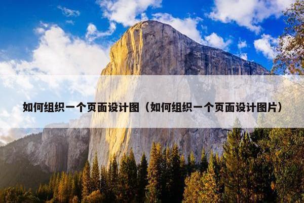 如何组织一个页面设计图（如何组织一个页面设计图片）
