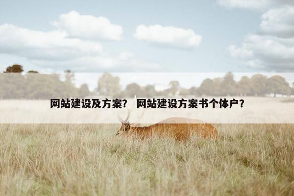 网站建设及方案？ 网站建设方案书个体户？