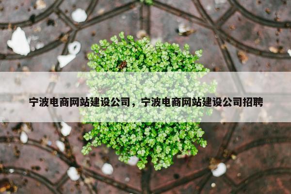宁波电商网站建设公司，宁波电商网站建设公司招聘