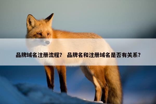 品牌域名注册流程？ 品牌名和注册域名是否有关系？