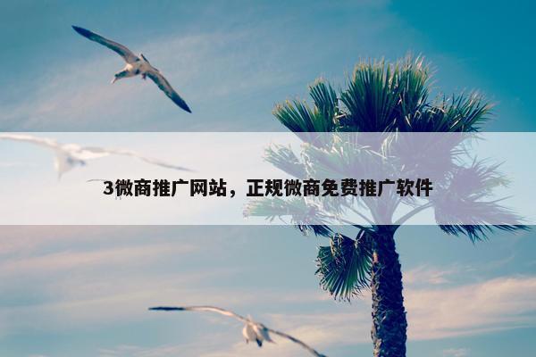 3微商推广网站，正规微商免费推广软件