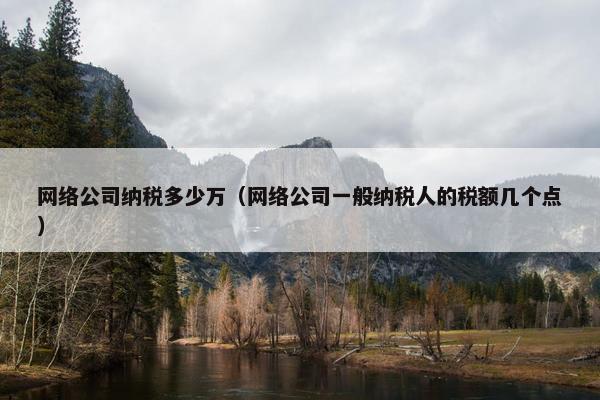 网络公司纳税多少万（网络公司一般纳税人的税额几个点）