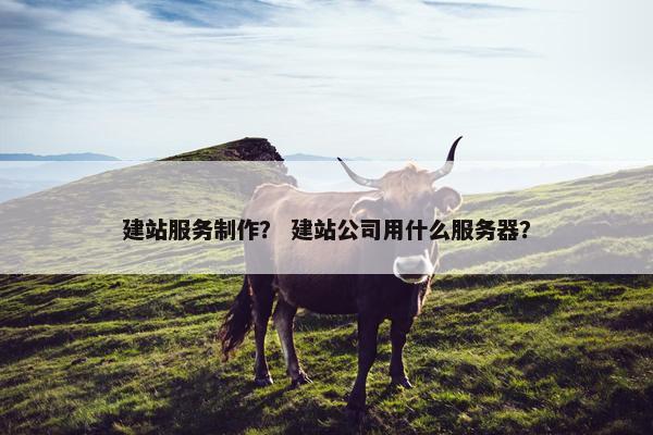建站服务制作？ 建站公司用什么服务器？