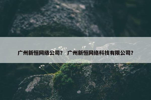 广州新恒网络公司？ 广州新恒网络科技有限公司？
