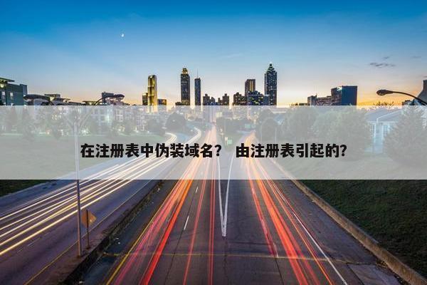 在注册表中伪装域名？ 由注册表引起的？