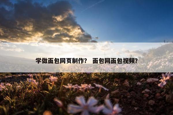 学做面包网页制作？ 面包网面包视频？