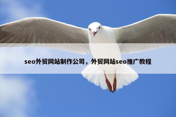 seo外贸网站制作公司，外贸网站seo推广教程