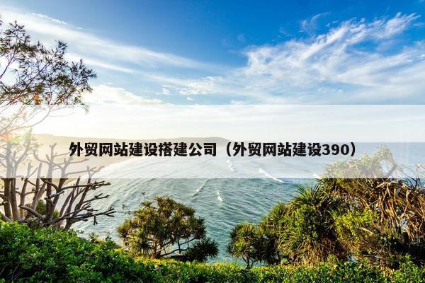 外贸网站建设搭建公司（外贸网站建设390）