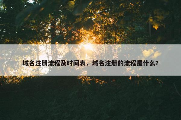 域名注册流程及时间表，域名注册的流程是什么?