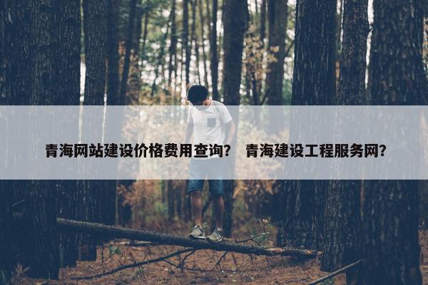 青海网站建设价格费用查询？ 青海建设工程服务网？